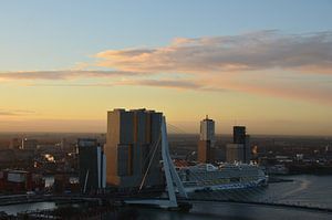 AIDAprima in Rotterdam