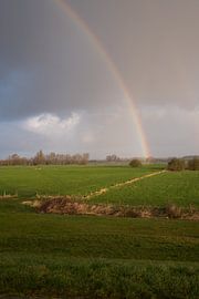 Regenboog van Moetwil en van Dijk - Fotografie