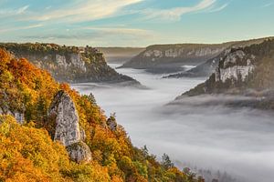 Nebel im Donautal