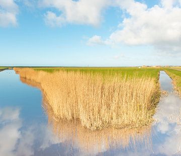 ameland von Jeannette Kliebisch