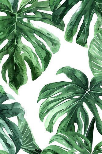 Monstera kunstwerk - Tropische bladeren