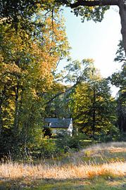 Cottage in the woods by Art. by Janine