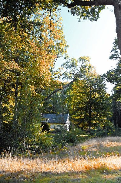 Hütte im Wald von Art. by Janine