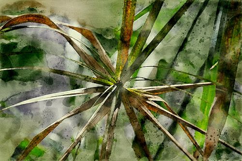 Green leaf (watercolour)