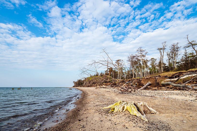Landscape at the coast of the Baltic Sea in Graal-Müritz by Rico Ködder