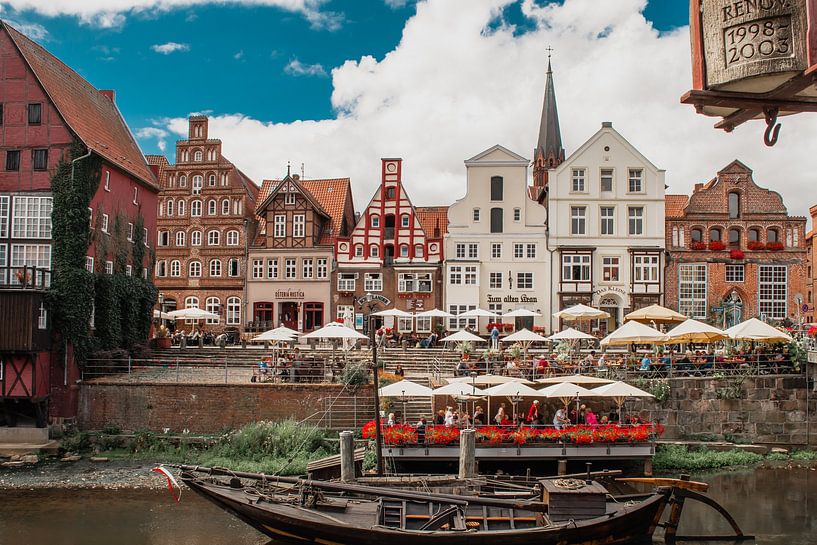 Berühmte Aussicht im deutschen Dorf Lüneburg von Lizet Wesselman