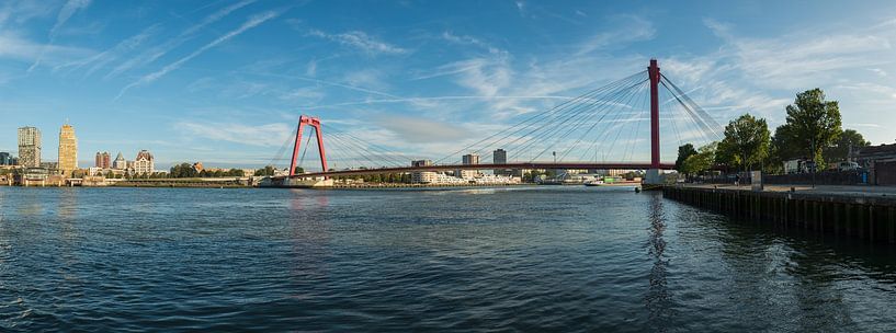 Willemsbrug Rotterdam by Carla van Driel-van Dillen