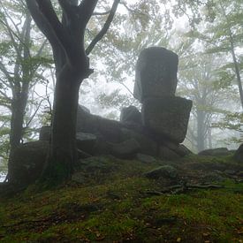 Schlafender Riese im Märchenwald von Anselm Ziegler Photography