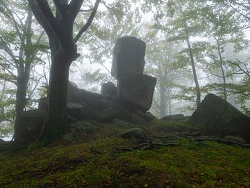 Schlafender Riese im Märchenwald von Anselm Ziegler Photography