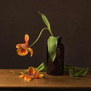 Stilleven oranje tulp van Monique van Velzen