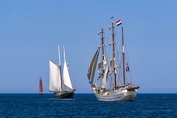 Zeilschepen op de Oostzee tijdens de Hanse Sail in Rostock van Rico Ködder