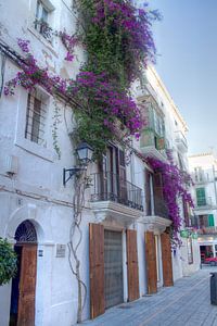 Ibiza