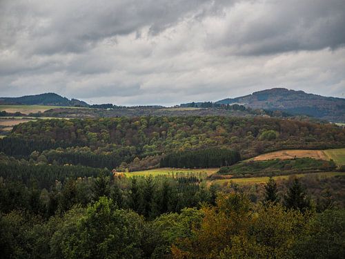 Landschap Luxemburg II