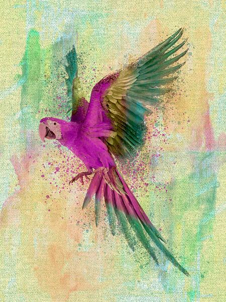 Ara Papagei Aquarell Malerei von Mad Dog Art