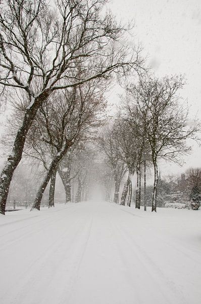 Snowflake Lane von Corina de Kiviet