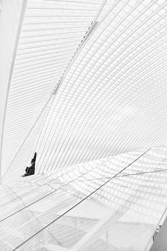Architectuur station Luik