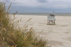 Ertrinkungshaus Terschelling