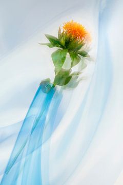 bloem in vaas van Peter Smeekens