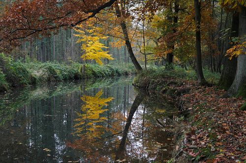Spreewald