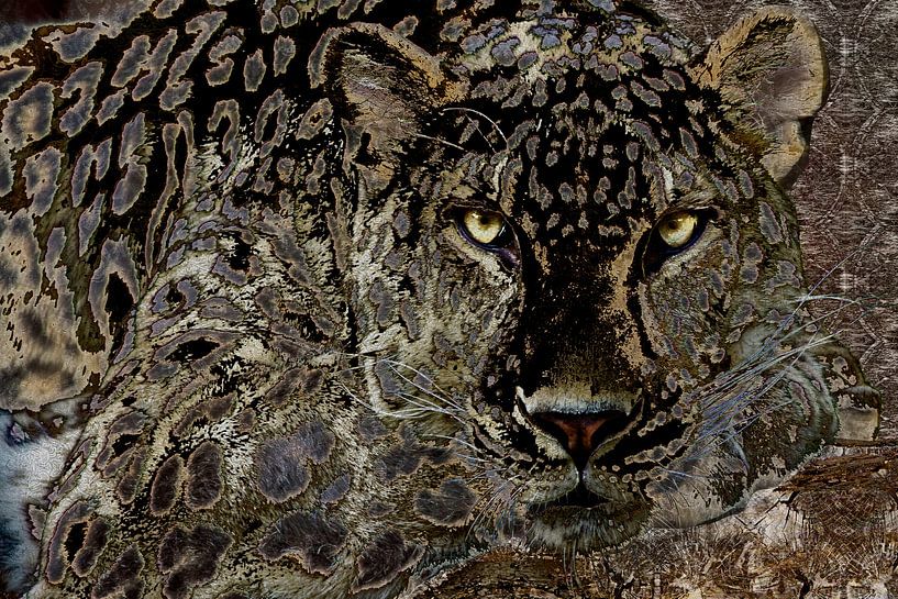 Digital collage with Leopard by Ton Kuijpers