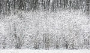 De eerste sneeuw van 2021.