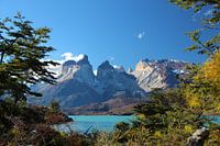 View through Torres del Paine National Park in Patagonia, Chile