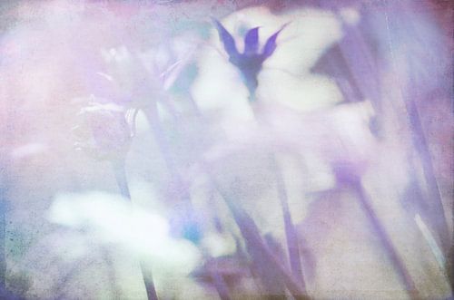 Feeling Blue and Happy