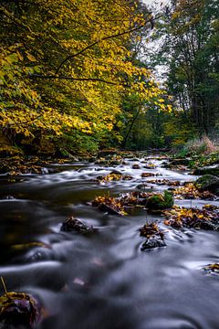 Idylle aan de rivier, herfst in Georgewitz Skala 1 van Holger Spieker