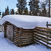 Rendierstal met sneeuw in de winter bij Kuusamo, Finland van Rico Ködder