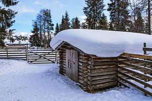 Rentierstall mit Schnee im Winter bei Kuusamo, Finnland