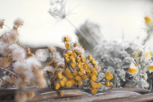 Kleurende bloemen in een kleurloos beeld