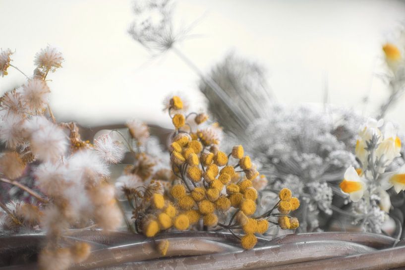 Des fleurs colorées dans un tableau sans couleur par Jolanda de Jong-Jansen