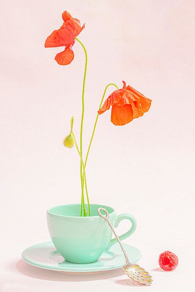 Still life poppies in a teacup by Willy Sengers