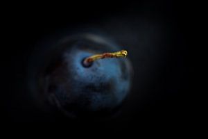 Blauwe bes met steeltje