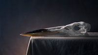 Bird still life