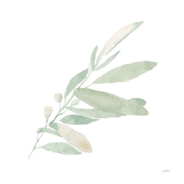 Sage I, Katrina Pete by Wild Apple