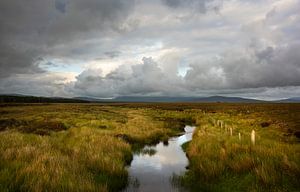 Peat bogs in Ireland