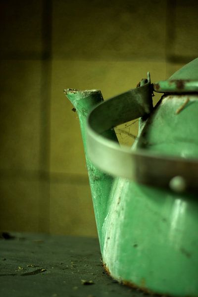 Green Tea van Tamara de Koning