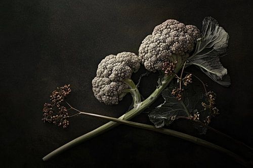 Light on cauliflower