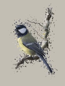Grande Mésange