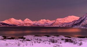 Alpenglühen auf Sommarøya, Norwegen