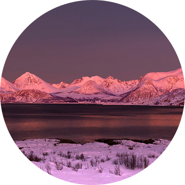 Alpenglow op Sommarøya, Noorwegen van Adelheid Smitt