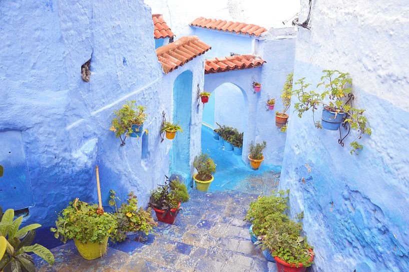 Chefchaouen de blauwe stad in Marokko van Bianca Kramer