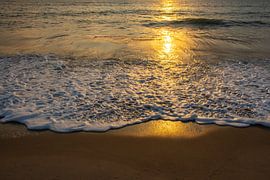 Sea foam on the beach