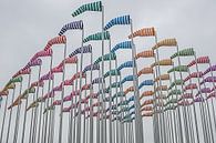 kleurige windhanen, vlaggen van DroomGans thumbnail