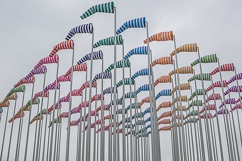 kleurige windhanen, vlaggen van DroomGans