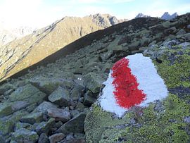 Suivez les panneaux sur ku nst