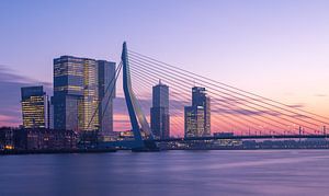 Erasmusbrug van Ronne Vinkx