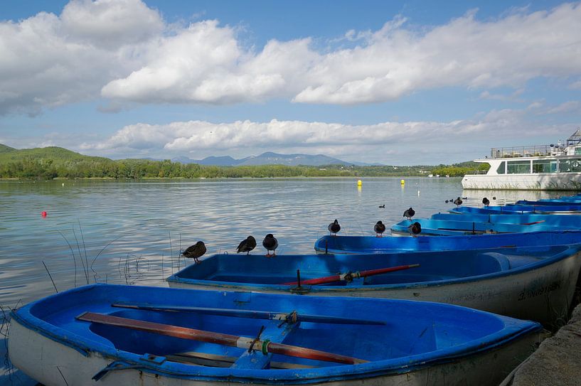 Estany de Banyoles (See von Banyoles) von Berthold Werner
