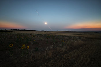 Total solar eclipse and sunflowers